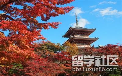 日本留学