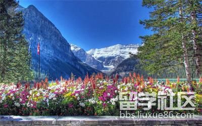 加拿大移民