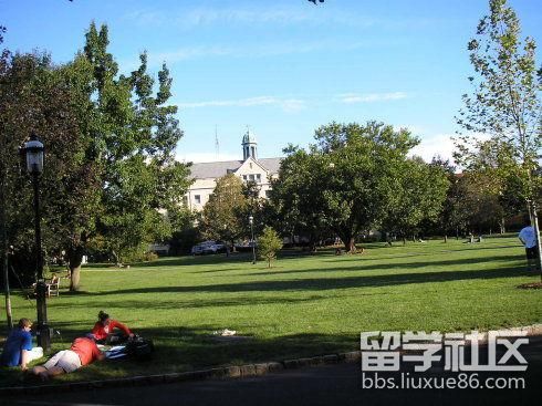 密歇根大学弗林特分校